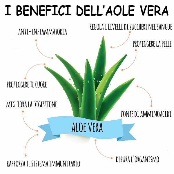 aloe vera per i capelli